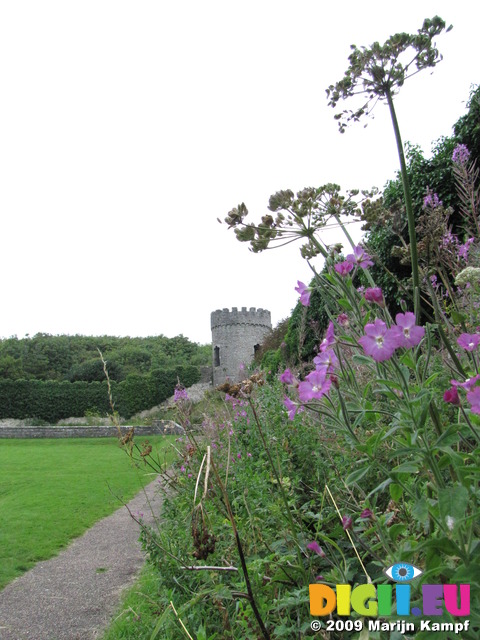 SX08045 Dunraven walled garden tower framed by pink flowers